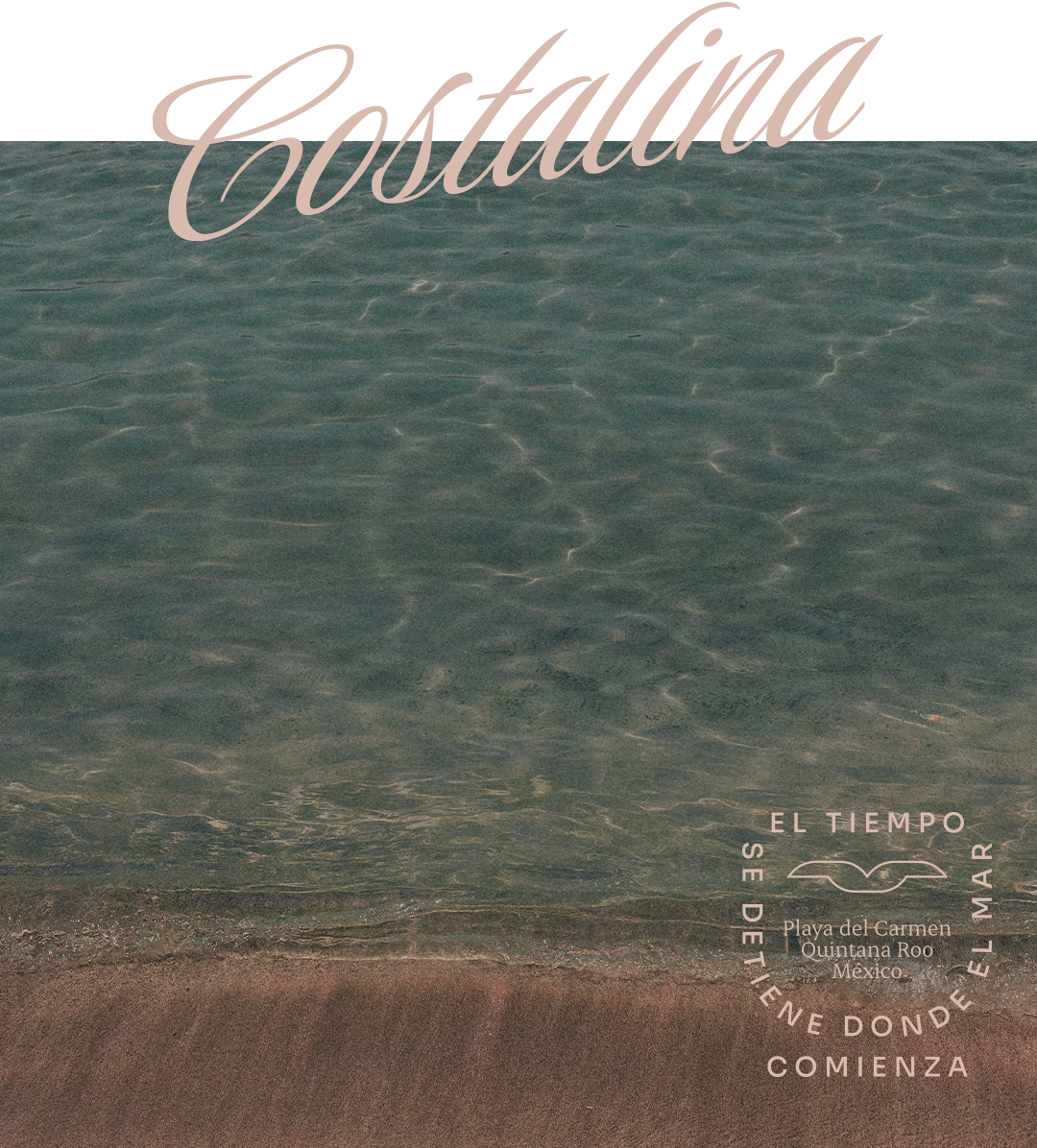 LP-costalina-mar-MOV